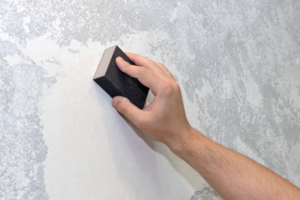 Best Crawl Space Mold Remediation  in Coal Grove, OH