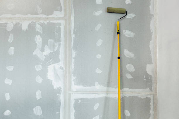 Best Mold Remediation for Healthcare Facilities  in Coal Grove, OH