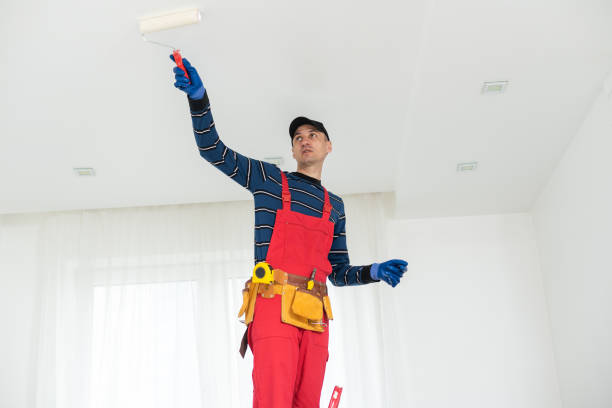 Best Mold Odor Removal Services  in Coal Grove, OH